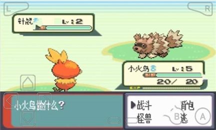 绿宝石之神族