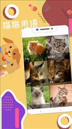 人狗猫猪翻译器