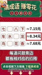 口袋猜成语