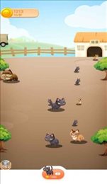 喵星世界红包版