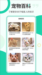 猫叫翻译机