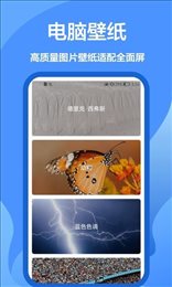 手机墙纸大全