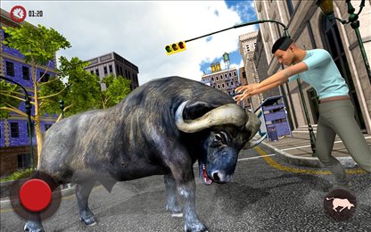 愤怒野牛赛跑(Crazy vs real bull run)