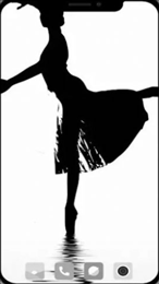 芭蕾舞壁纸(BalletWallpaper)