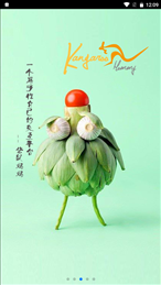 袋鼠妈妈