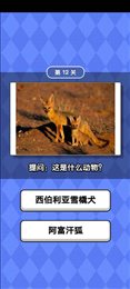 动物滑滑乐