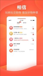 喆鼠