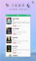 趣看小说老版本