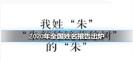 2020年全国姓名报告查询软件