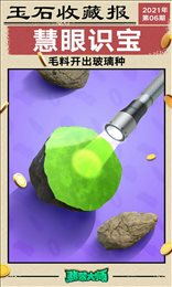翡翠大师开发者模式