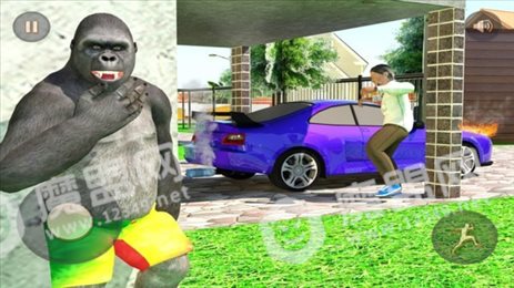 捣蛋大猩猩(Scary Stranger Gorilla 3D)