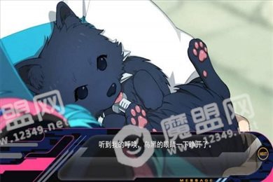 dmmd
