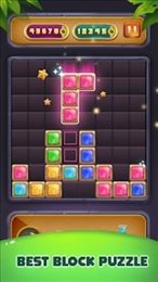 积木拼图消除(Block Puzzle)