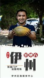 伊州好地方