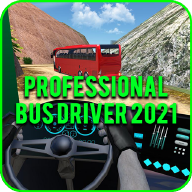 专业巴士司机(Professional bus driver 2021)