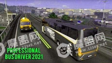 专业巴士司机(Professional bus driver 2021)