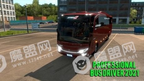 专业巴士司机(Professional bus driver 2021)