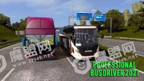专业巴士司机(Professional bus driver 2021)