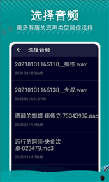 华盾变声器