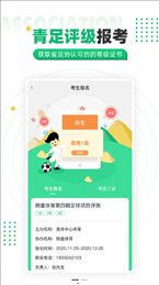 齐鲁足球