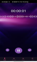 趣秀变声器