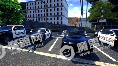 总统警察模拟器(Police Simulator)