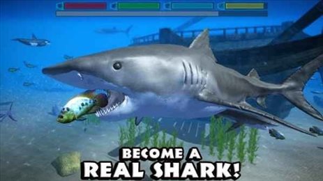 终极鲨鱼模拟器(UltSharkSim)