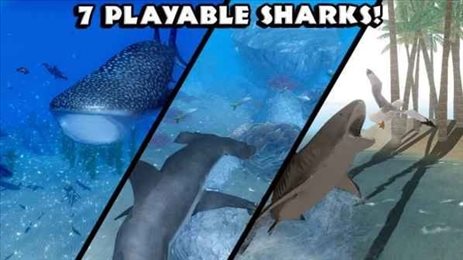 终极鲨鱼模拟器(UltSharkSim)