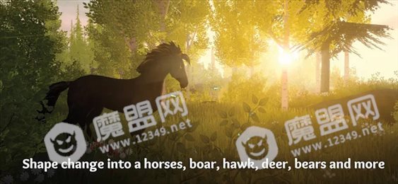wilderless荒野