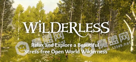 wilderless荒野