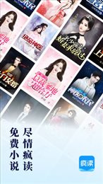 疯读小说正版