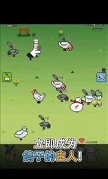 鸽子战争(비둘기키우기)