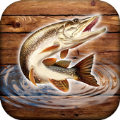 运动钓鱼模拟(Fishing rain)v0.1.7