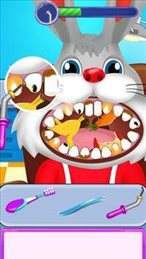 动物牙医手术(Animal Dentist)