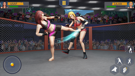 武术搏击运动会(Street Kick Fighter)