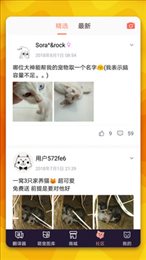 猫语翻译器手机版