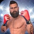 动态格斗冲突(MMA Fighting Clash)