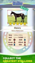 德比赛马大师赛(Derby Stallion)