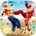 新街霸终极功夫(New Street Fighter - Ultimate Ku)