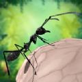 蚂蚁生存3D苹果版