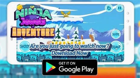 忍者宝石冒险(Ninja Jewels Adventure)