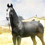 强大的敌马(Powerful Enemy Horse)