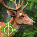 猎鹿动物狩猎(Deer Hunting)