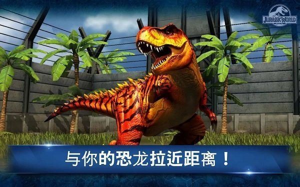 魔盟网