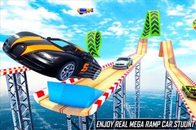 惊人的汽车特技(Car Stunt Game 3D)