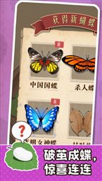 小小养蚕师ios版