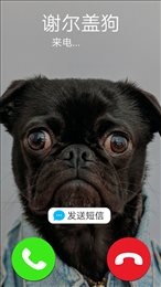 假装来电模拟器