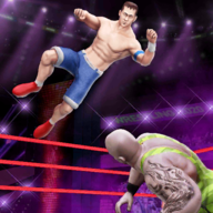 擂台摔跤冠军(Stylized Wrestling)