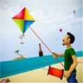 风筝战斗飞行3D(Kite Flying Combate 3d)