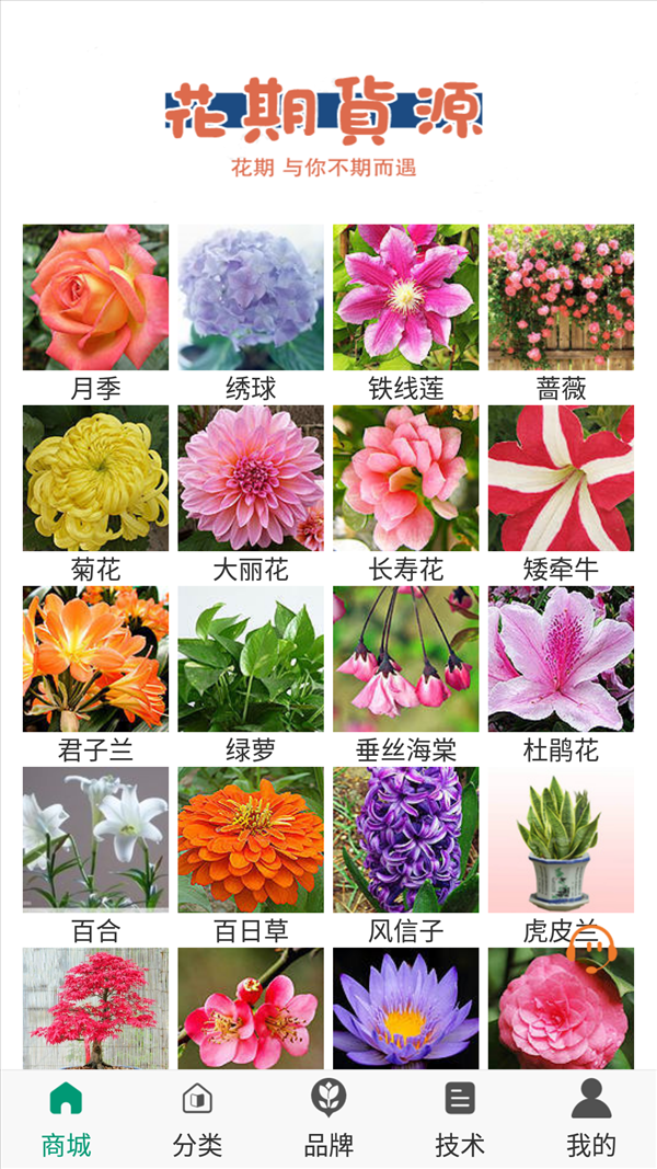 魔盟网